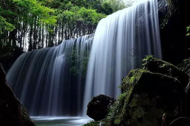 你能逃离此地吗